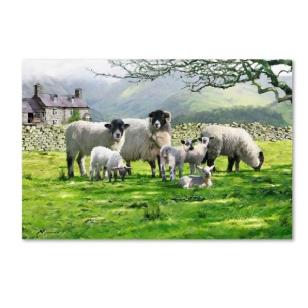 Trademark Fine Art The Macneil Studio 'Black Mountain Sheep Landscape' Canvas Art, 12x19 ALI8991-C1219GG